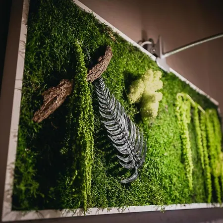 住宿加早餐酒店 罗纳别墅旅馆