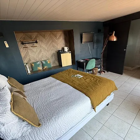 罗纳别墅旅馆 4*