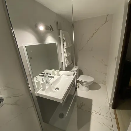 罗纳别墅旅馆 米里贝尔